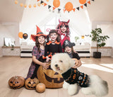Vehomy 2Pcs Pet Halloween Sweaters Dog Halloween Pumpkin Sweater Kitten Cat Holiday Theme Turtleneck Knitwear Shirt with Pumpkin Skull Patterns Dog Puppy Halloween Costume Clothes for Small Dogs XXL