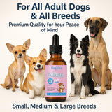 Healthy Petz Premium Liquid Collagen for Dogs - Skin & Coat Supplement with Hyaluronic Acid & Biotin, Supports Joint Health, Mobility & Hydration for All Dogs, Bacon Flavor - 2 fl oz (1)