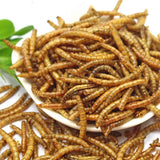 HANDPOINT 11 lbs Dried Mealworms, 100% Non-GMO Natural High-Protein,Treats for Chicken, Fish, Bird Food(11LB)