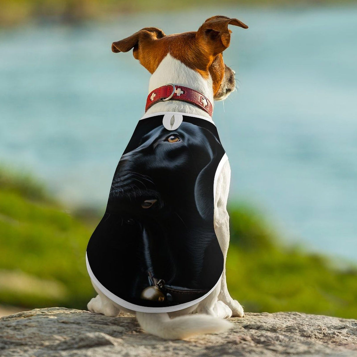 Cat & Dog Beach Shirt Cool Breathable Summer Tank Top Black Labrador Dog for Pets