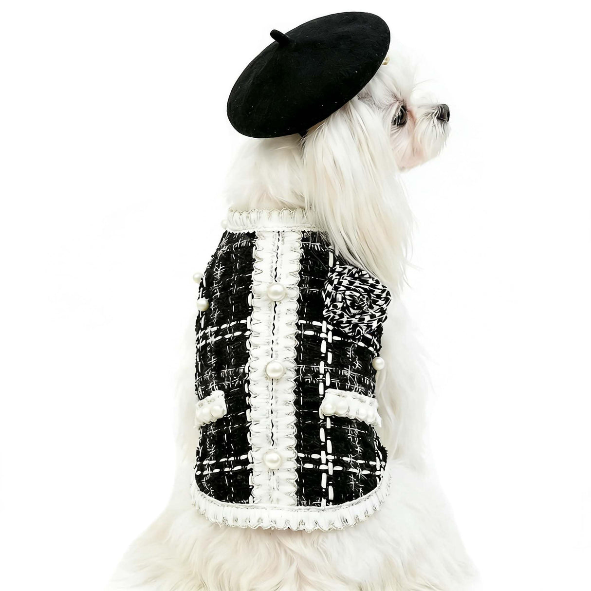 Luxury Dog Clothes Tweed Suits and Beret Hat,Black Winter Warm Pet Coat Vintage Jacket Vest,Cat Artist Costume Cosplay Party Outfits for Small Medium Dogs,XS