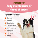 Pet Naturals Daily Probiotic for Dogs, Duck Flavor, 160 Chews - 120M CFUs Pre and Probiotics for Dogs Digestive Health, Gut Health, Immune Support, Diarrhea, Allergies and Itching