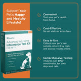 TotalVet Dog Allergy +1000 Food & Nutritional Sensitivity Test, Pet Intolerance Kit at Home — Advanced Complement to DNA Tests for Complete Pet Wellness
