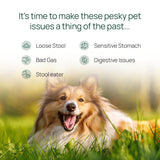 pawTree Gastro Pro Plus® for Dogs and Cats - Probiotics, Prebiotics and Digestive Enzymes - for Sensitive Stomach, Digestive Issues, Loose Stool, and Bad Gas (30 ct)