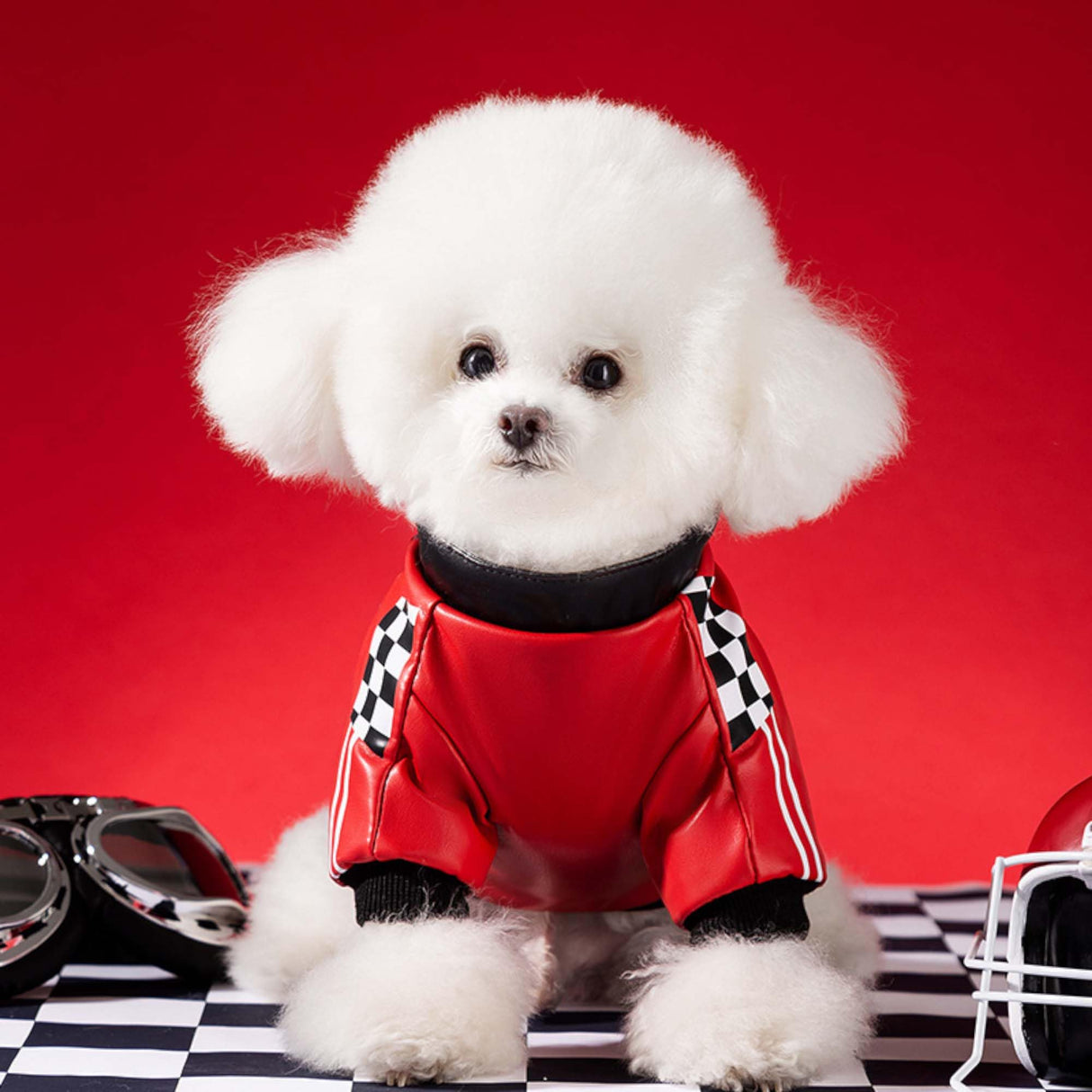 FLAdorepet Cool Dog Racer Costume,Pet Race Car Driver Costume Outfits,Winter Dog Leather Jacket with Leash Ring,Warm Fleece Coat Clothes for Small Medium Dogs (Black, XXL)