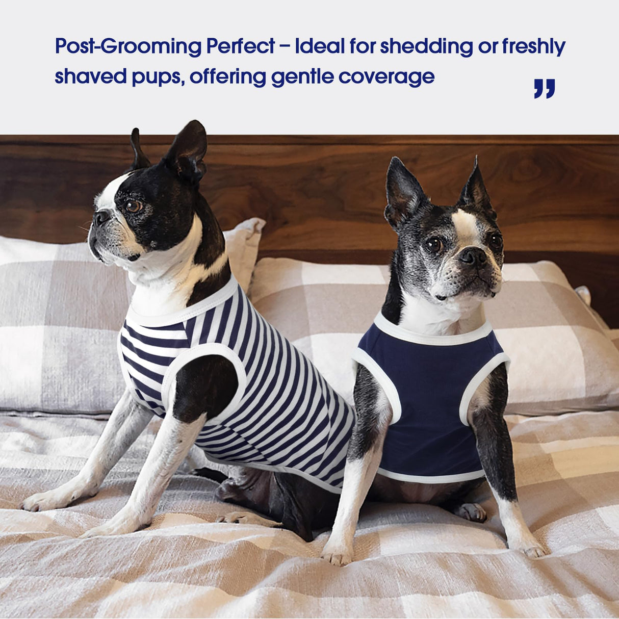 FUAMEY 2 Pack Dog T-Shirts for Small Dogs,Puppy Lightweight & Breathable Sleeveless Shirts Soft Dog Tee Pet Vest T Outfit Dogs Striped Tank Tops Blue S