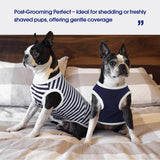 FUAMEY 2 Pack Dog T-Shirts for Small Dogs,Puppy Lightweight & Breathable Sleeveless Shirts Soft Dog Tee Pet Vest T Outfit Dogs Striped Tank Tops Blue S
