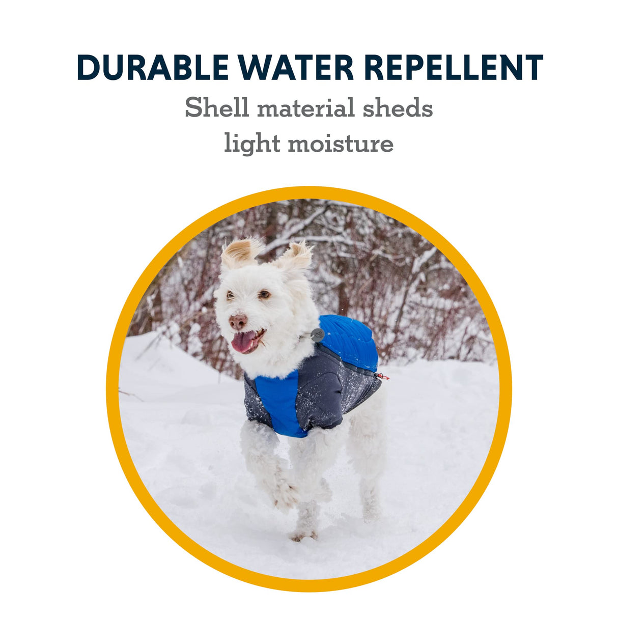 Ruffwear, Powder Hound Dog Winter Jacket, Insulated Softshell Coat with StormSleeve Stretch, Weather-Resistant Shell, Reflective Trim & Light Loop, Cold-Weather Adventures, Persimmon Orange, Small