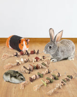 DBNESS 6PCS Bunny Chew Toys, Hamster Rabbit Cage Hanging Chew Toys, Natural Apple Wood Bunnies Treats, Improve Small Animal Teeth Health for Guinea Pig Chinchilla Ferret Rats Gerbil
