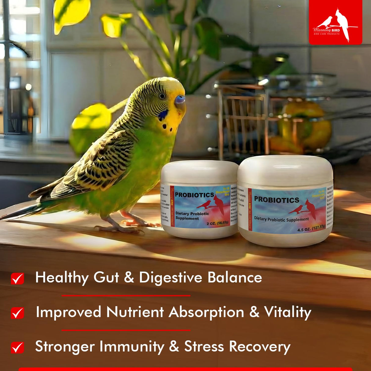Morning Bird Probiotics for Birds 2 oz – Digestive Health Supplement Supporting Gut Balance, Nutrient Absorption & Immune Support – Easy Mix Powder Supplement for All Bird Species