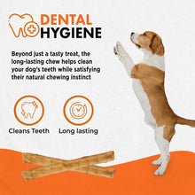 Load image into Gallery viewer, Canine Naturals Chicken Recipe Chew - Rawhide Free Dog Treats - Made From USA Raised Chicken - All-Natural and Easily Digestible - 40 Pack of 5 Inch Stick Chews
