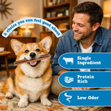 Jack&Pup 6 Inch Bully Sticks for Dogs (5 Pack) Extra Thick Dog Chews Long Lasting, Single Ingredient, 100% Beef Bully Sticks for Large Dogs