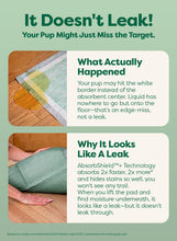 Load image into Gallery viewer, Earth Rated Max Absorbency Puppy Pee Pads for Dogs Absorbs 2X Faster &amp; 2X More, Leak-Proof, Odor Control Potty Training, Unscented, Large, 22” x 23”, 40 Count
