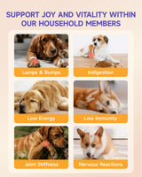 Mushroom for Dogs - with Turkey Tail Mushroom for Dogs, Lion’s Mane, Shiitake, Supports Joint & Gut Health, Enhances Energy, Lumps & Bumps Supplement,Organic Mushrooms Supplement for Dog, 60ml Drop