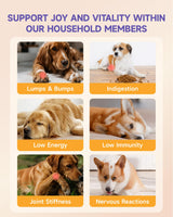 Mushroom for Dogs - with Turkey Tail Mushroom for Dogs, Lion’s Mane, Shiitake, Supports Joint & Gut Health, Enhances Energy, Lumps & Bumps Supplement,Organic Mushrooms Supplement for Dog, 60ml Drop