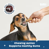 Barkbox Bright Original Dog Dental Kit, 30 Teeth Cleaning Chew Sticks & Toothpaste - Small Breeds