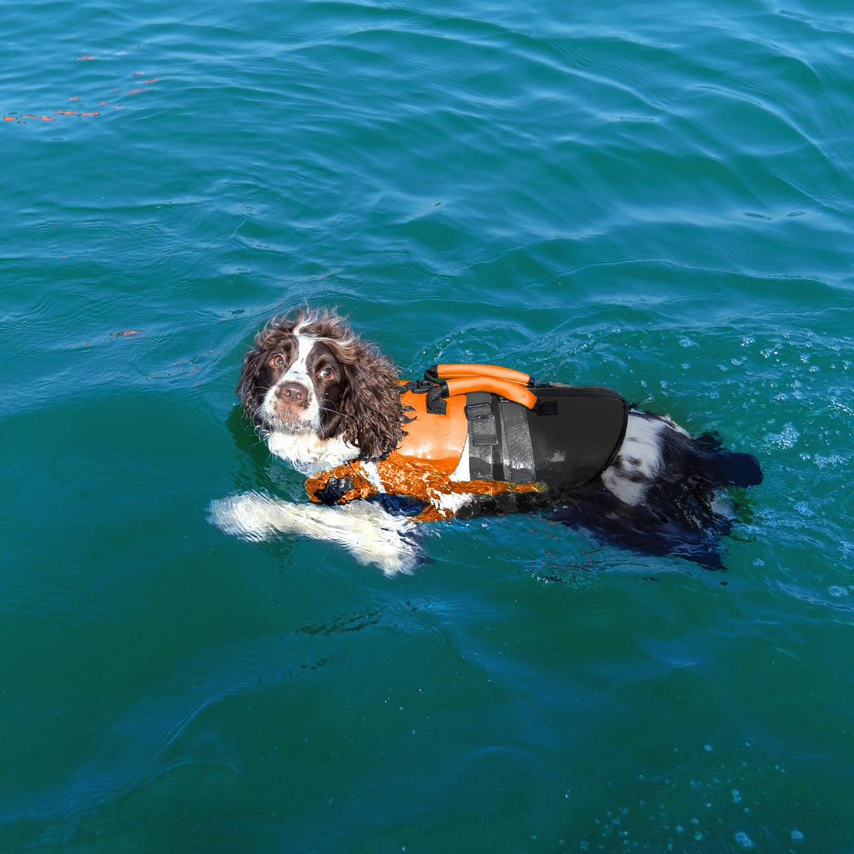 Kuoser Dog Life Jacket with Rescue Handle, High Flotation Dogs Swim Vest with Reflective Strips,Adjustable Dog Life Vest for Swimming, Boating, Pool&Beach, Doggy Lifejacket for Small Medium Large Dogs