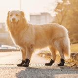 Arblina Dog Shoes for Large Medium Size Dogs, Waterproof Anti Slip Dog Boots&Paw Protectors for Summer Hot Pavement Winter Snow, Breathable Dog Booties for Outdoor Walking Hiking Hardwood Floor