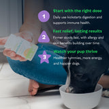 Tails ’N’ Tummies Probiotics for Dogs: 60 Tiny Tablets for Allergies, Itchy Skin, Diarrhea & Digestive Relief – Gentle, Clean Formula for Dogs