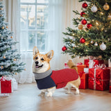Geyecete Corgi Sweater for Dogs Corgi Clothes,Miniature Corgi Coat,Corgi Jacket for Dogs Warm Waterproof Windproof,High Neckine String Holes-Red-L