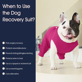 IECOii Dog Onesie for Surgery,Dog Surgery Suit Female Spay Recovery Suit for Medium Size Dog,Dog Recovery Suit Male Pet Abdominal Anti Licking Shirt,Dog Bodysuit Alternative to Cone E-Collar,M-Rosered