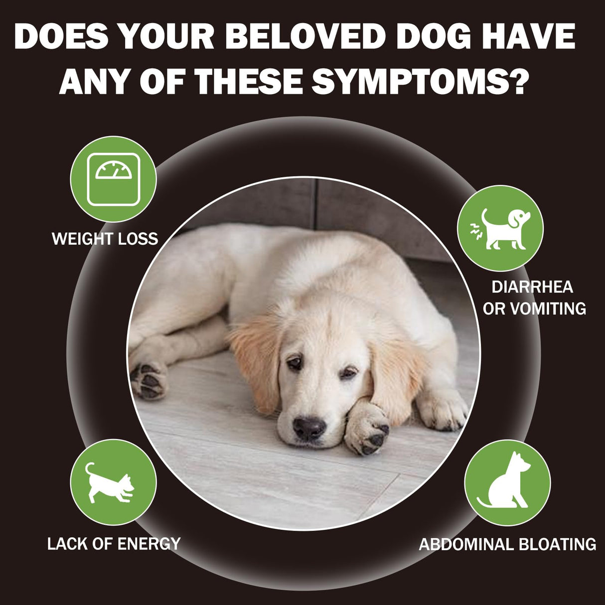 lvermect Tablets for Dogs, 99% Purity for Gut Health Detox, Promotes Immune & Digestive Support - 7.5mg(100 Tablets)