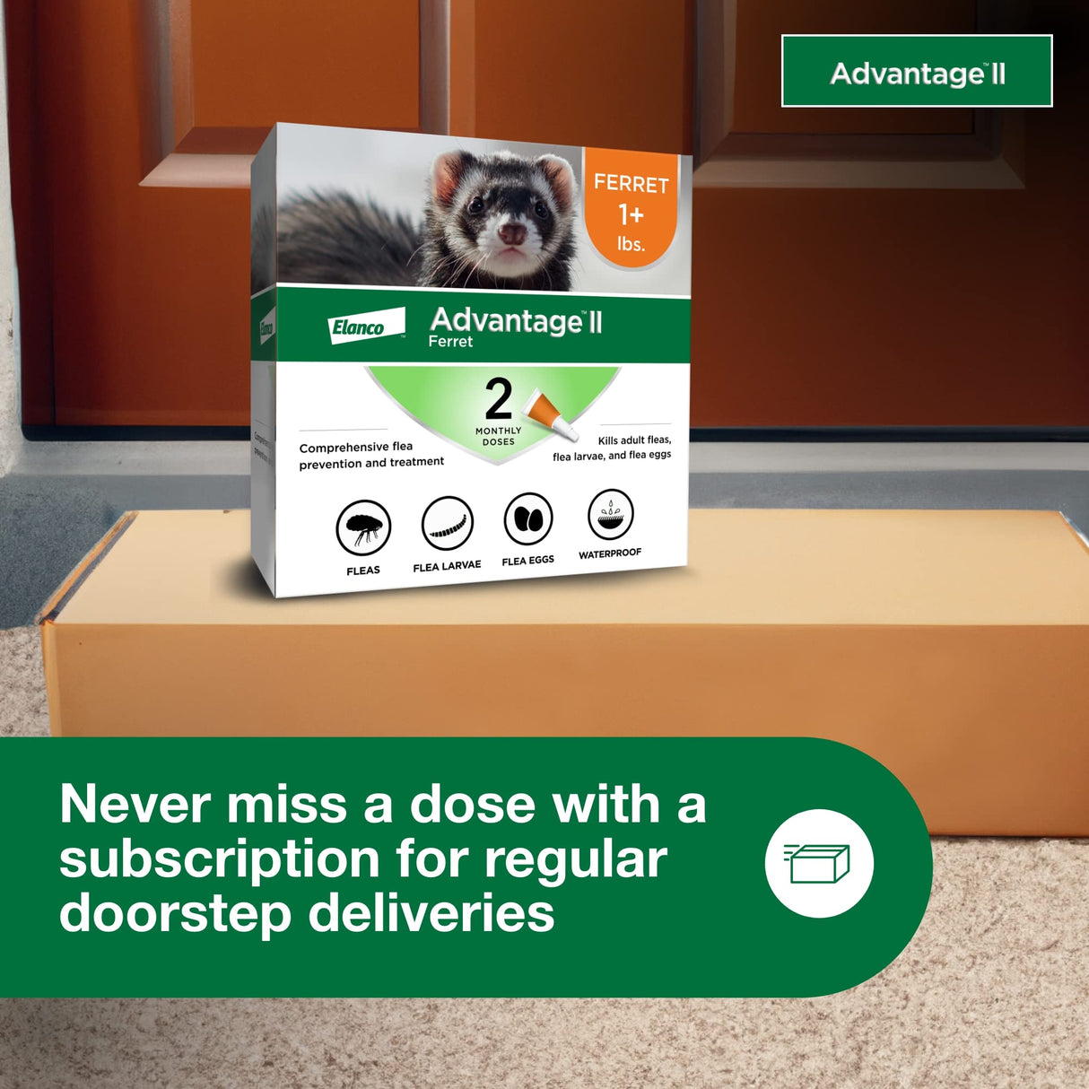 Advantage II Ferret Vet-Recommended Flea Treatment & Prevention | Ferret 1+ lbs. | 2-Month Supply