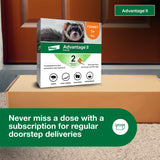 Advantage II Ferret Vet-Recommended Flea Treatment & Prevention | Ferret 1+ lbs. | 2-Month Supply