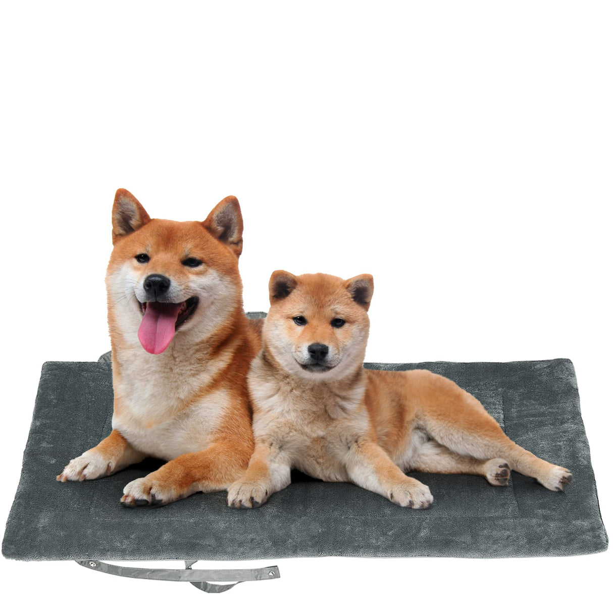 Catalonia Classic Waterproof Dog Mat, Portable Reversible Pet Travel Mat, Pet Cushion Pad with Handle for Small Medium Dogs Cats, Indoor or Outdoor