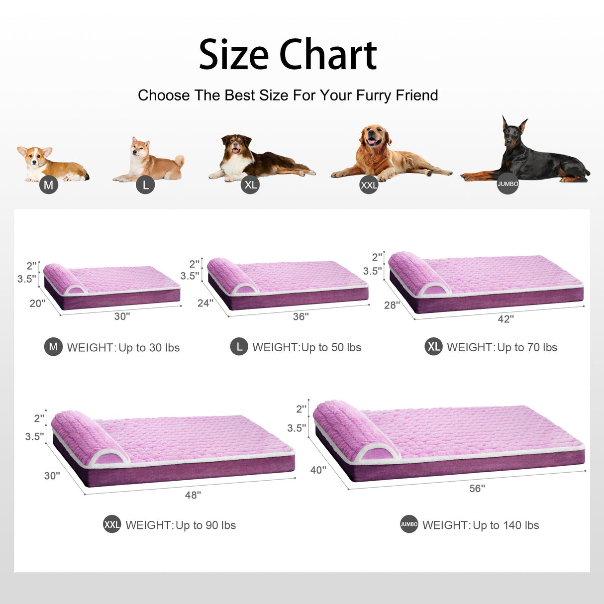 Jolifield Orthopedic Dog Bed Large Sized Dog with Pillow 36''X24'', Waterproof Soft Comfortable Egg Crate Foam Pet Crate Beds Mat with Removable Washable Cover and Non-Slip Bottom, Lilac