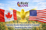 Birds Love Alpiste Canary Seed – 100% Pure, Non-GMO, Double Cleaned Food for Canaries, Finches, Budgies & Parakeets – No Additives, Bird Feed, 5 lbs