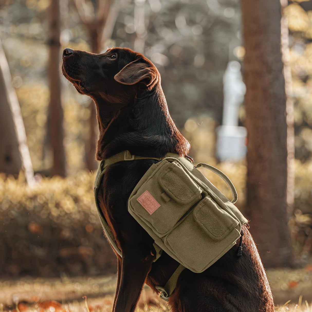 ONETIGRIS Dog Hiking Backpack, Dog Pack for Medium Large Dogs, HOPPY CAMPER 3.0 Dogs Saddle Bag Harness Outdoor Hiking (M, Brown)