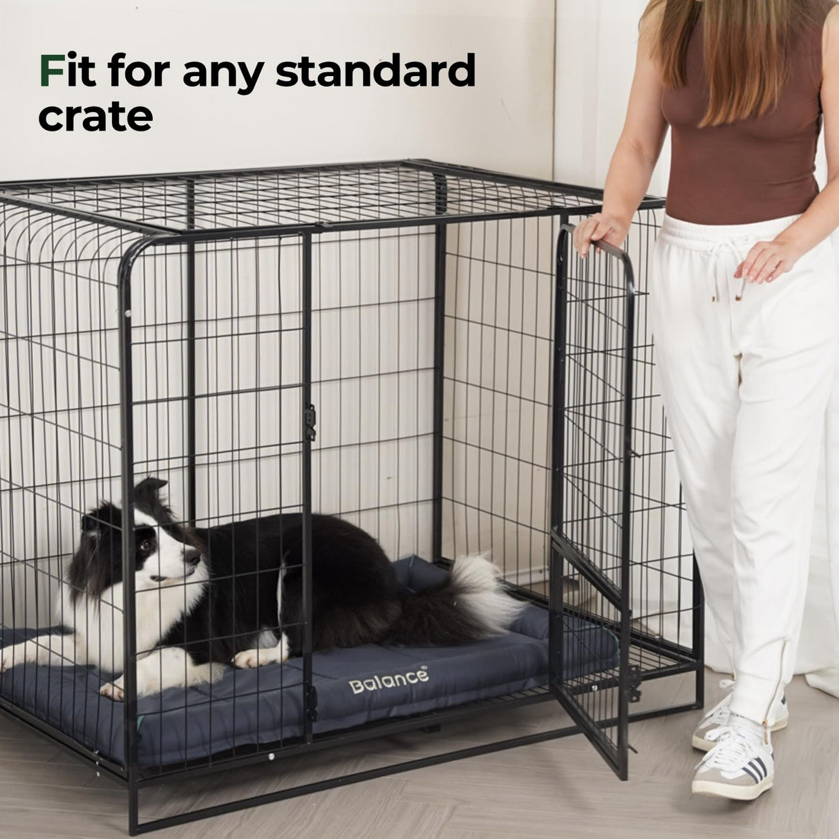 BALANCE Oxford Dog Bed for Medium Dogs, Waterproof Dogs Crates Pad Outdoor Dog Crate Mat, Wipe Clean & Easy Rinse, 30 inch