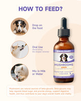 Mushroom for Dogs - with Turkey Tail Mushroom for Dogs, Lion’s Mane, Shiitake, Supports Joint & Gut Health, Enhances Energy, Lumps & Bumps Supplement,Organic Mushrooms Supplement for Dog, 60ml Drop