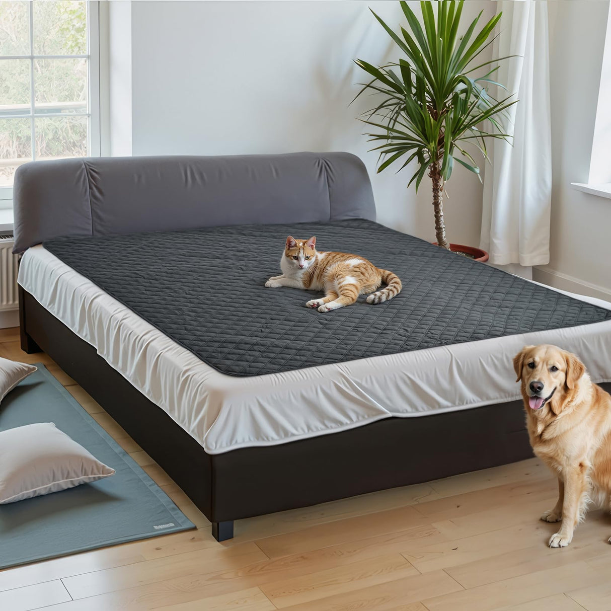Amazon Basics Couch Cover for Dogs, Washable Anti-Slip Blanket for Bed Sofa, Quilted Furniture Protector for Indoor Pets, 82 x 52 Inches, Gray