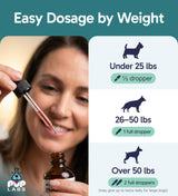 K9 UTI+ All-Natural Urinary Tract for Dogs, UTI, Bladder, Kidney and Incontinence Support, Dog UTI Treatment with Cranberry and D-Mannose, Easy-to-Use Drops for All Ages and Breeds, 2 fl oz