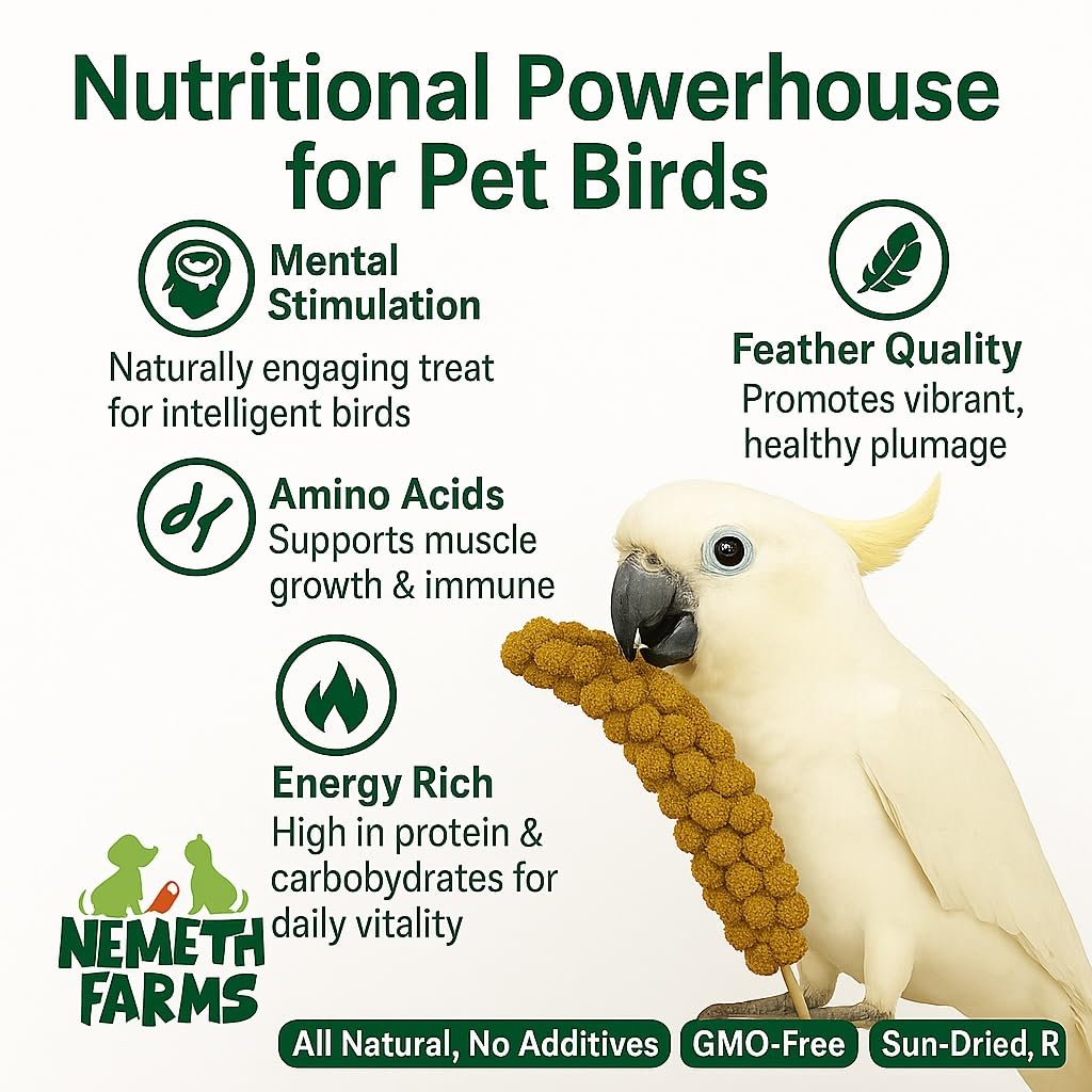 Nemeth Farms 1lb Premium Spray Millet for Exotic Birds – Grown in The USA – 100% Natural & Non‑GMO Bird Treat – Sun‑Dried Millet for Parakeets, Conures, Cockatiels, Parrots & Budgies