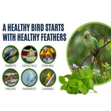 Bird Aloe Vera Spray – Soft Feathers Conditioner & Skin Moisturizer -16 OZ- for Parrots, Cockatiels, Conures & All Birds – Natural Aloe Mist for Molting Relief, Sooths Itchy Dry Skin Feather Plucking
