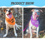 8 Pack Adopt Me Bandanas for Dogs