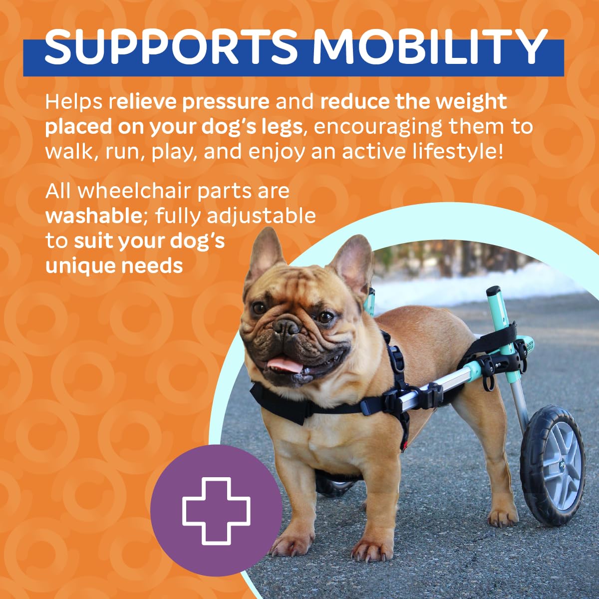 Walkin' Wheels Small Dog Wheelchair, Lightweight Dog Wheelchair for Back Legs, 15-25 lbs, for 9-11 inches Leg Height - Seafoam