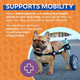 Walkin' Wheels Small Dog Wheelchair, Lightweight Dog Wheelchair for Back Legs, 15-25 lbs, for 9-11 inches Leg Height - Seafoam