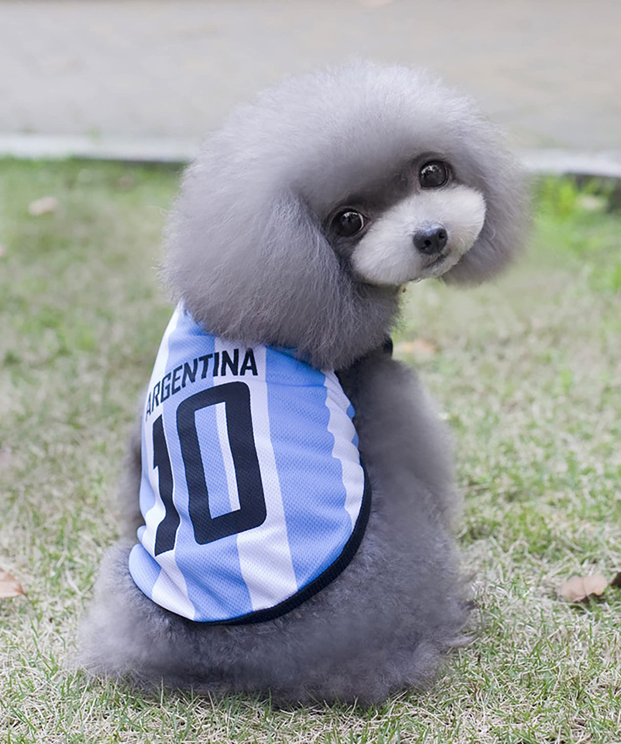 GabeFish Dog World Cup T Shirt Pets Football Jersey Sports Soccer National Team Vest Cat Summer Cool Clothes Apparel Argentina Small