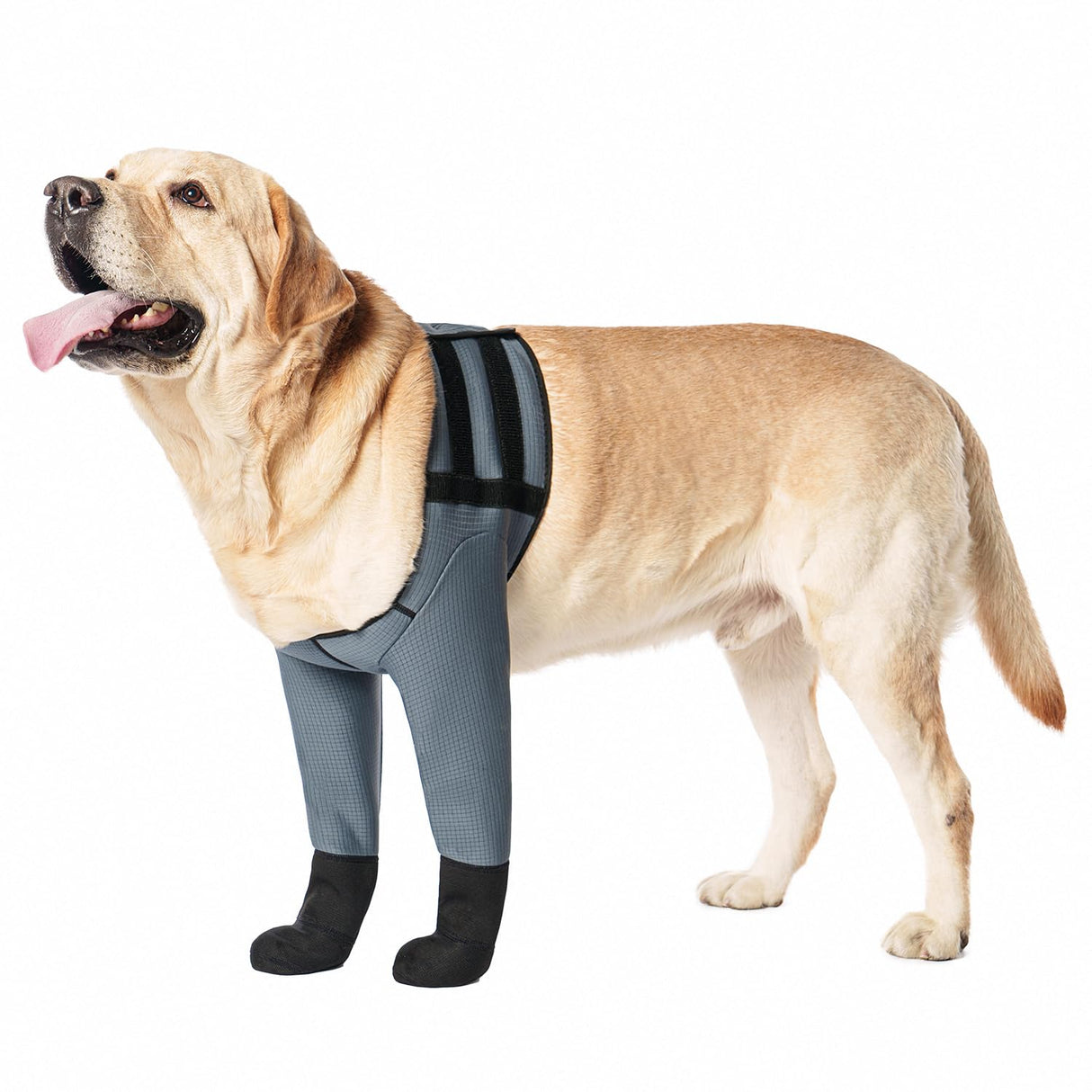 yrenoer Dog Socks & Boots - Waterproof Anti-Licking Paw Protectors with Non-Slip Bottom, Post-Surgery Recovery Sleeves for Wound Protection (Grey, XL)