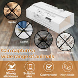 Kittmip 24 Pcs Mouse Traps Indoor for Home, Glue Traps Sticky Adhesive Easy to Use Safe Glue Boards Trap for Mouse Insects Bugs Rats Rodents, 8.7 x 5.3 Inch