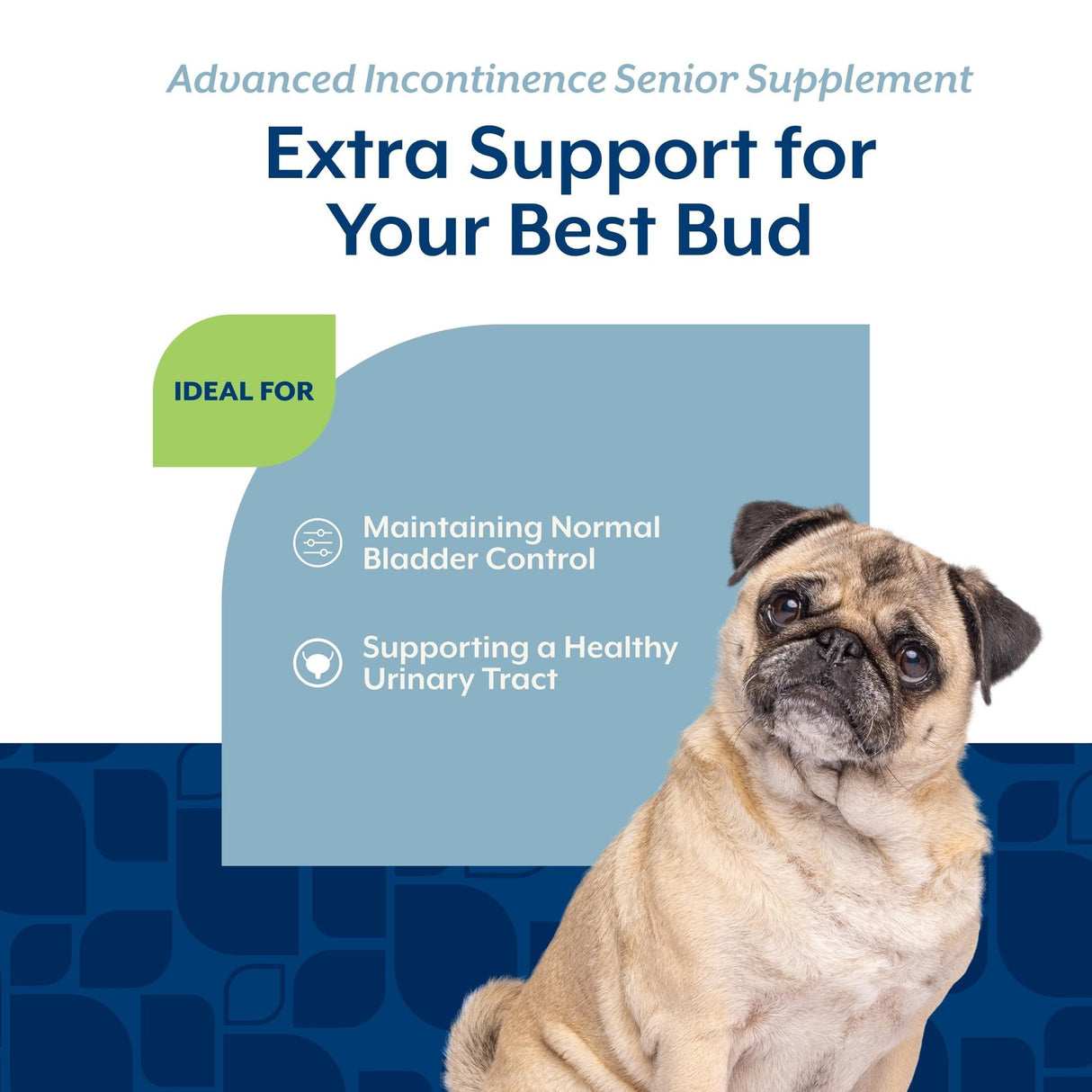NaturVet Senior Advanced Incontinence Dog Supplement – Helps Support Dog’s Bladder Control, Normal Urination – Includes Synergistic Blend of Botanicals – 60 Ct. Soft Chews