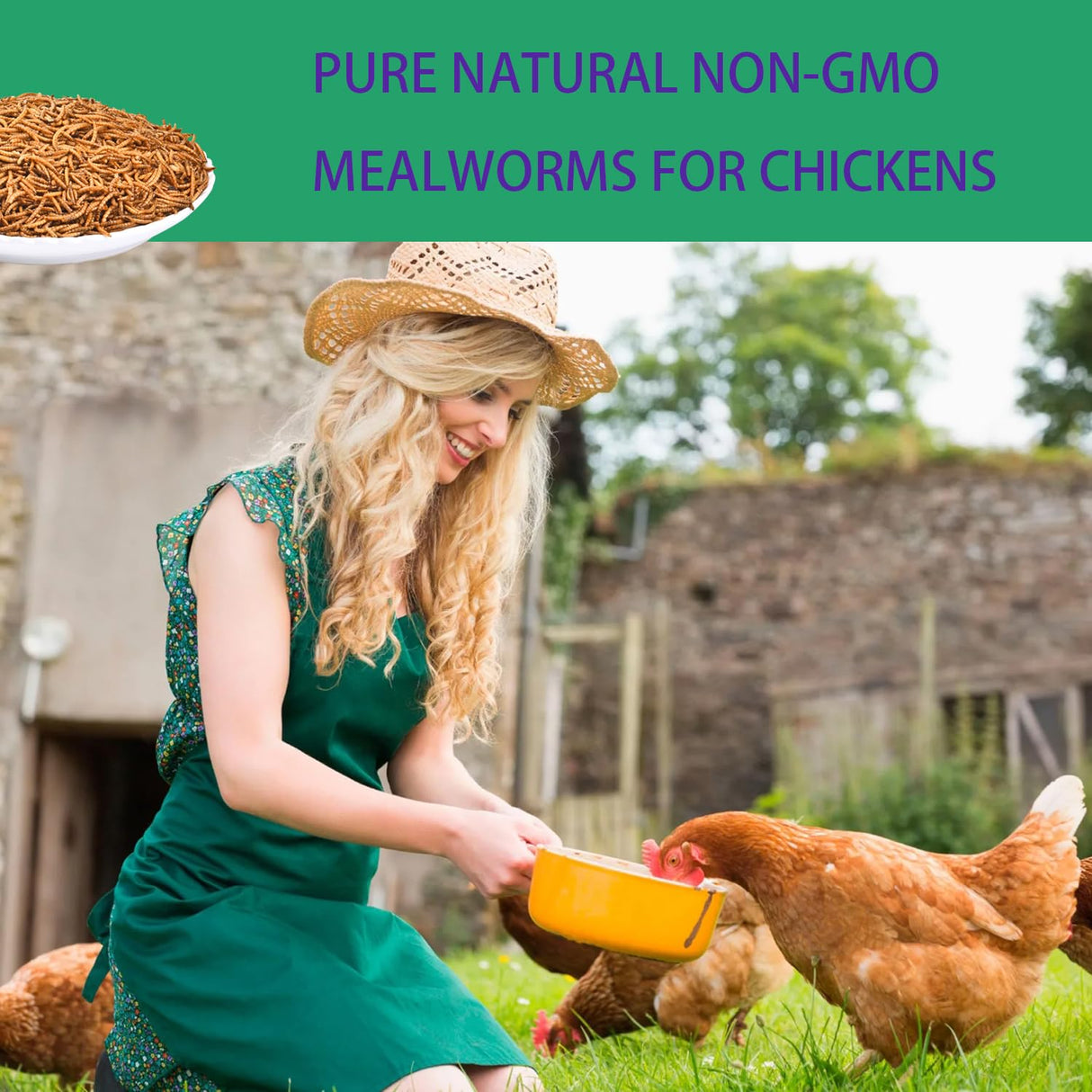 KAYHEN Dried Mealworms for Chickens 5LB Pure Natural Non-GMO High Protein Feed Meal Worms for Laying Hens Wild Birds