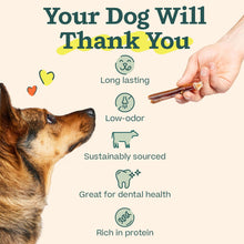 Load image into Gallery viewer, WOOF Bully Sticks Dog Treats - Chew Sticks for Dogs - Long-Lasting Dog Chew Treats - Made with Free-Range, Grass-Fed Beef - 6" Sticks - 5pk
