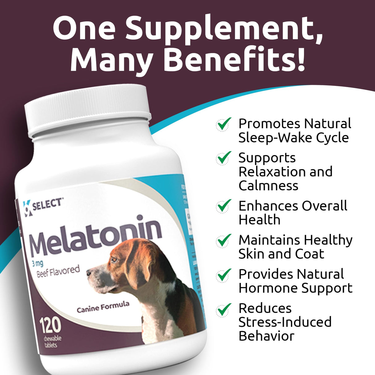 K9 Select Melatonin for Dogs - Composure Dog Calming Chews - Dog Melatonin for Sleep - Reduce Stress Helps Composure Calming Treats for Small Dogs - 3 mg, 120 Beef Flavored Chewable Tablets