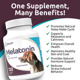 K9 Select Melatonin for Dogs - Composure Dog Calming Chews - Dog Melatonin for Sleep - Reduce Stress Helps Composure Calming Treats for Small Dogs - 3 mg, 120 Beef Flavored Chewable Tablets