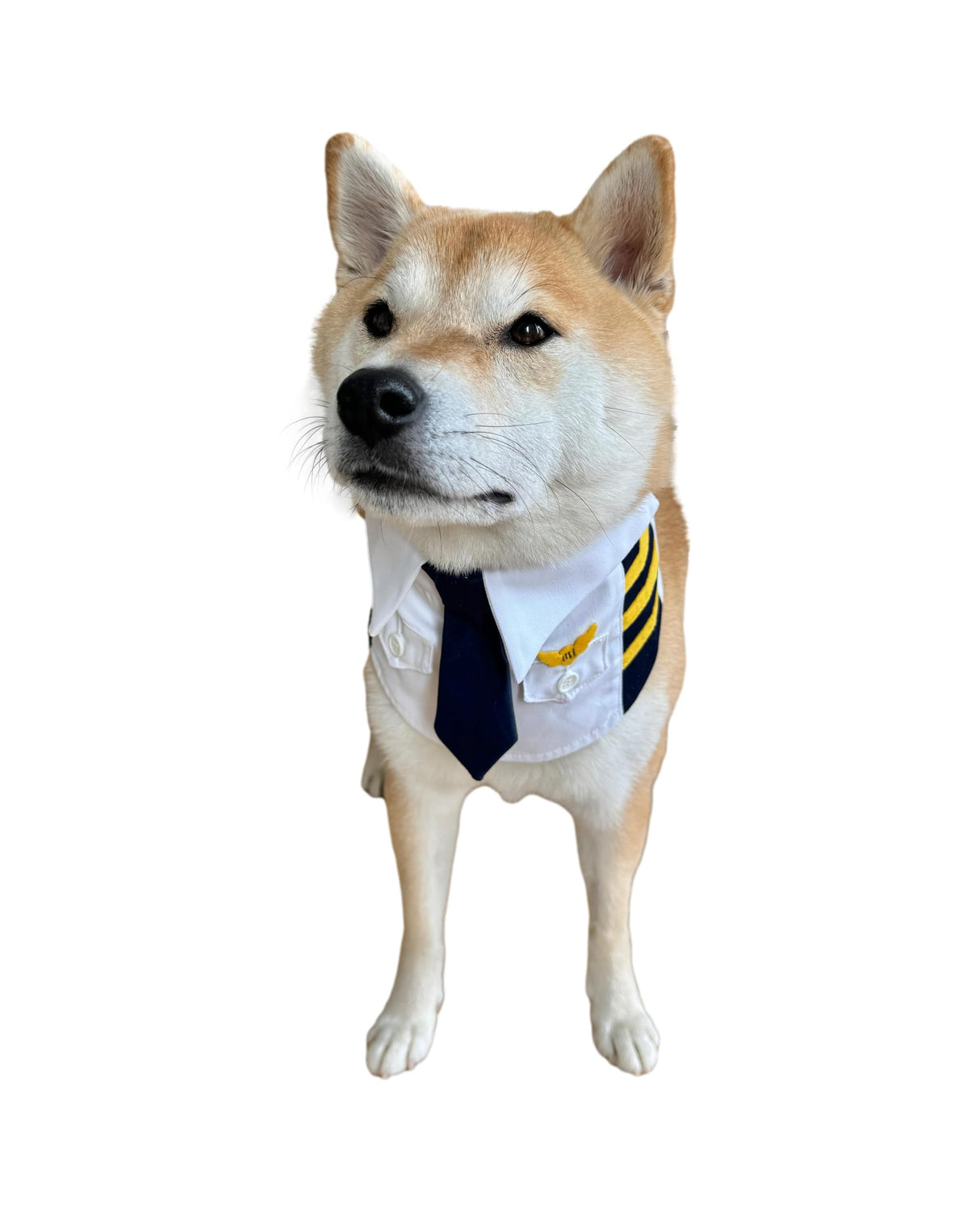 ComfyCamper Dog Pilot Costume Neckband - Captain Tie Collar Small Large XLarge XXL Cosplay Halloween Costumes, L